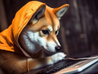 Crypto tailwinds for 2024 and implications for Memeinator (MMTR)