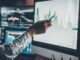 Honk price prediction; can it outperform Bitbot and LCX tokens