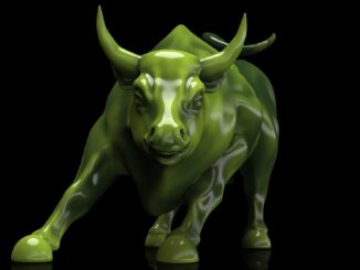 Bitcoin Bull