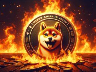 Shiba Inu burn