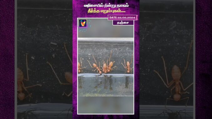 வரிசையில் நின்று தாகம் தீர்த்த எறும்புகள்....| AI Tamil News | AI Priya | Tanjai | Ant