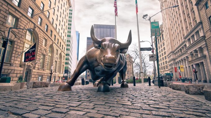 Bitcoin Bull