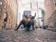 Bitcoin Bull