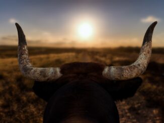 Bitcoin and crypto weekly preview