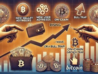 Bitcoin Sees Fresh Wave Of New Investors – Bottom Signal Or Bull Trap?