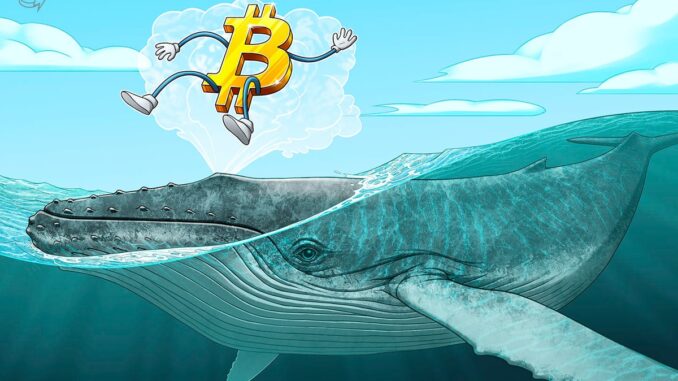 Bitcoin whales absorb 300% of newly mined BTC supply — Is $100K next?