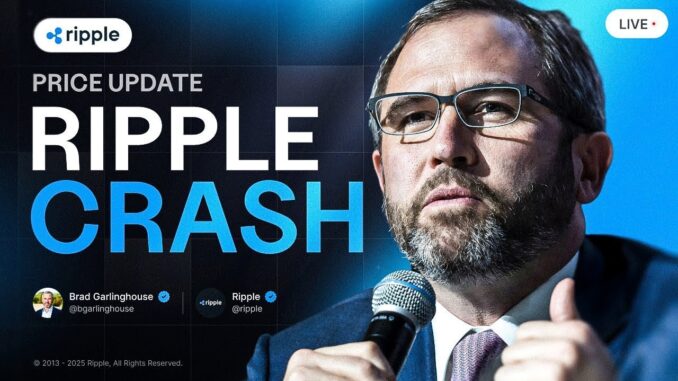 Brad Garlinghouse: Is Trump To Blame For Ripple Crash? XRP PRICE PREDICTION