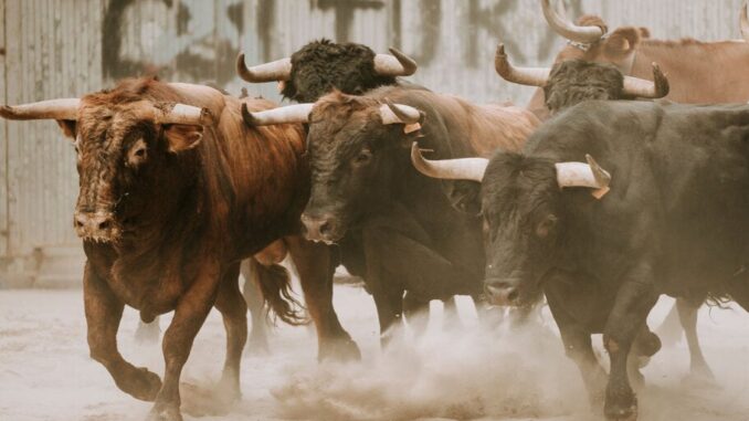 Crypto, Bitcoin Mining Stocks Spike Amid Historic Markets Rebound