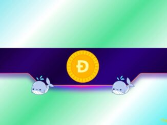 Is DOGE Poised for a Rally?