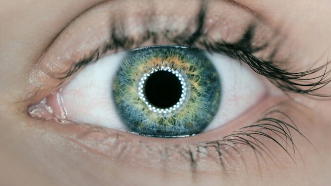 Human eye as the Fundamental AI Research (FAIR) team at Meta announces five projects advancing the company's pursuit of advanced machine intelligence (AMI) with significant boosts to enhancing perception abilities for use cases including robotics and agents.