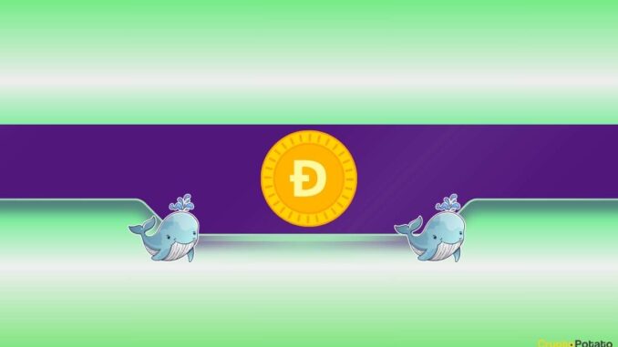 What Are Dogecoin Whales Preparing For?