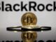 Abu Dhabi sovereign wealth fund, Citadel Advisors boost BlackRock Bitcoin ETF holdings