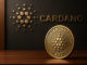 Cardano news