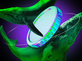 Bitcoin Whale Activity Signals Warnings for the Market