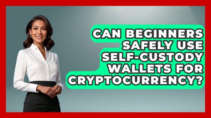 Can Beginners Safely Use Self-Custody Wallets for Cryptocurrency? | All About Crypto Exchanges News
