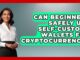 Can Beginners Safely Use Self-Custody Wallets for Cryptocurrency? | All About Crypto Exchanges News