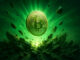 Bitcoin holders exhibit 'diamond hands' as unrealized profits swell past $1 trillion