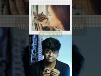 Researchers have built an AI that can detect your cat meows | #ainews #ai #learnwithrohit